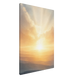 0b52699d-1a2e-4a23-93b3-2e8d4acc9c11