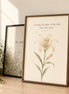 Consider the Lilies